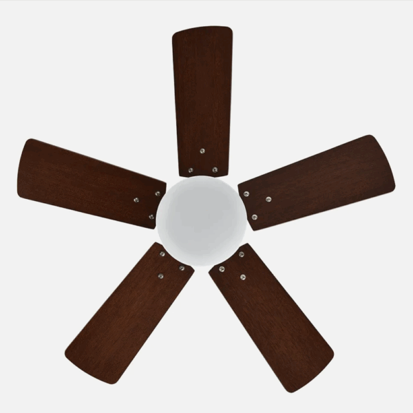 Ventilador de techo DC Marta color Cuero-Dorado, aspas reversibles, 36w, 76cm