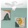 Ventilador Dc Piton 24w 2160lm Blanco 3asp 3velocidades 62d  3000-4000-6500k,remoto+reg.intensidad+temporizador